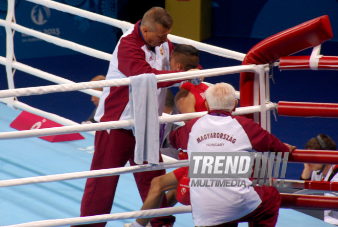 "Bakı-2015" birinci Avropa Oyunları çərçivəsində boks üzrə yarışlar start götürür. Azərbaycan, 16 iyun 2015